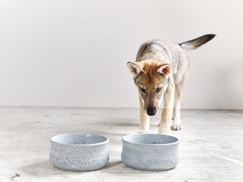 ROCKY - elegant skål til hunde og katte