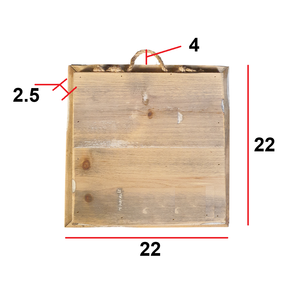 Holzfliesen altholländisches HOME ist
