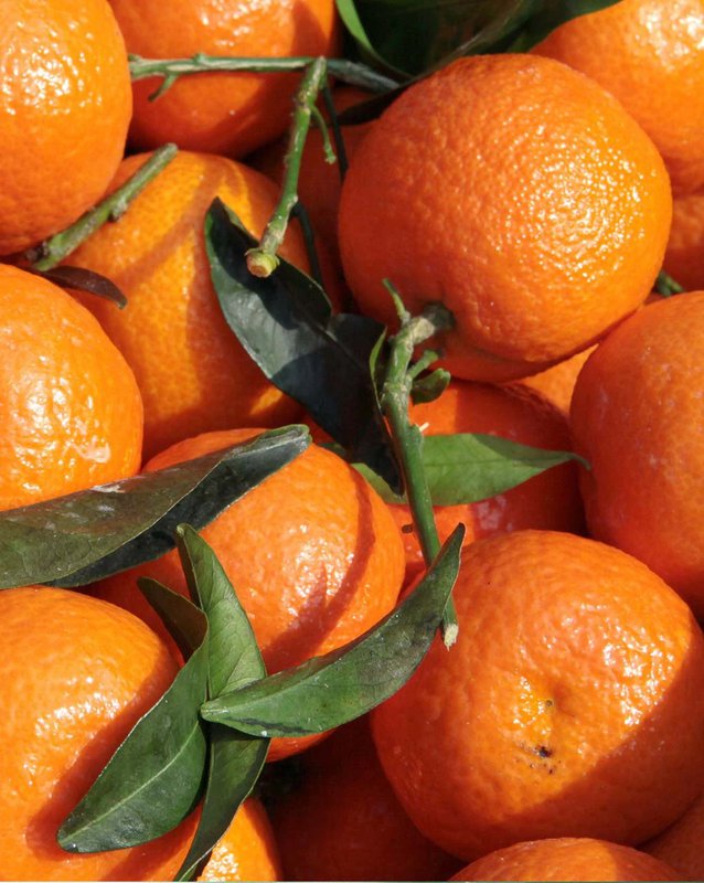 BITTER TANGERINE (MANDARINE) • For flavored water