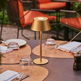 Milou Gold Rechargeable Table Lamp