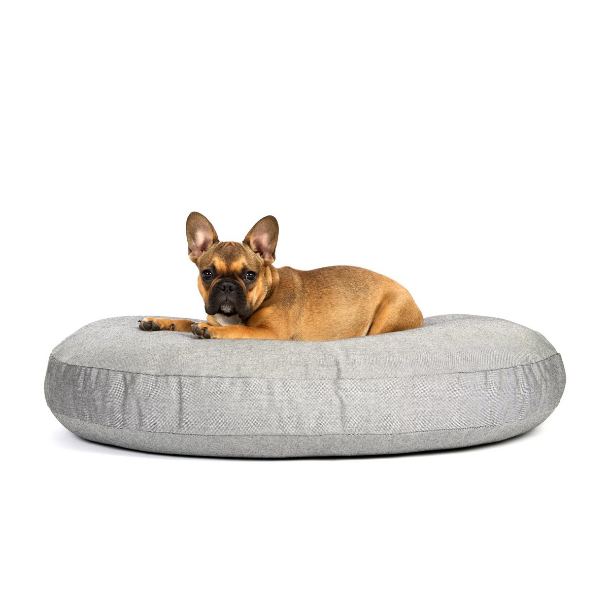 PRADO - Design-Hundebett LISCIO