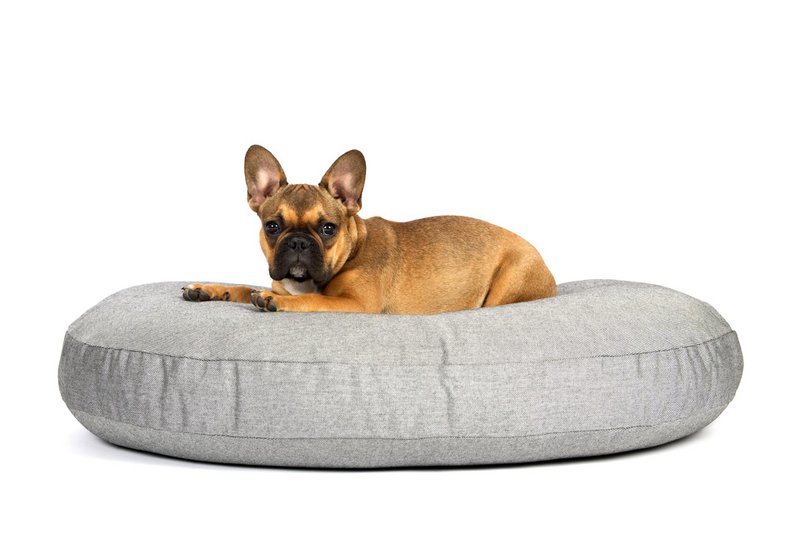 PRADO - Design-Hundebett SMOOTH
