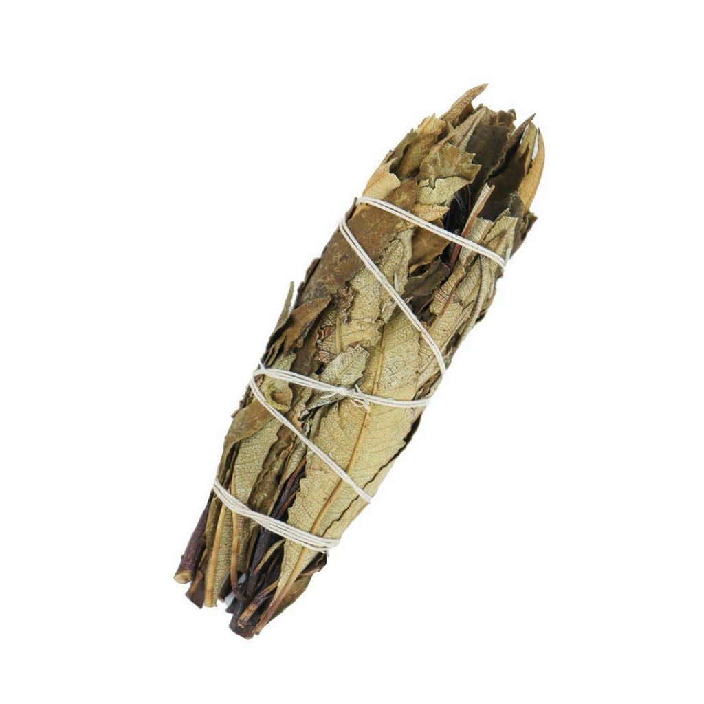 Yerba Santa Sage for Heart Healing 10 cm