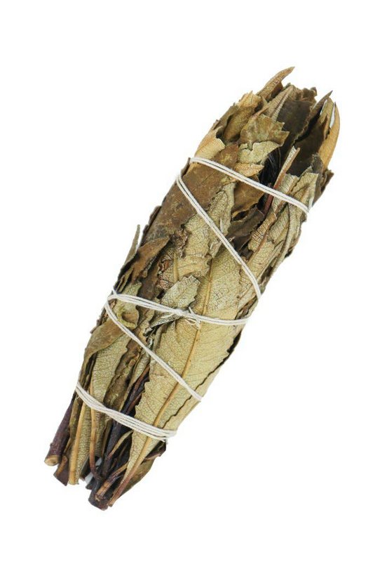 Yerba Santa Sage for Heart Healing 10 cm