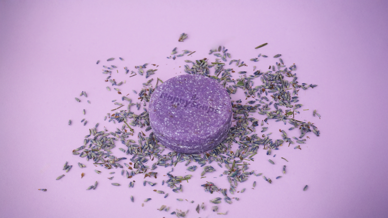 Shampoo Bar - Purple Lavender Rain - Volume Boost