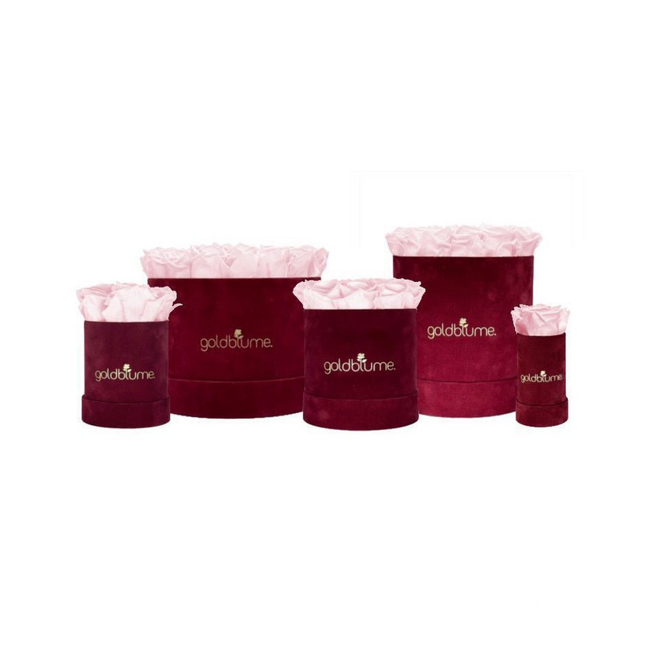 Collection Velours Bordeaux