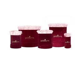 Velvet Bordeaux Collection
