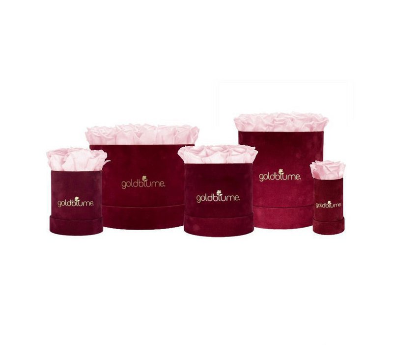 Velvet Bordeaux Collection