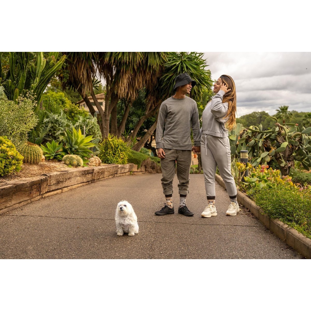 Casual sokken - honden