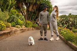 Casual sokken - honden