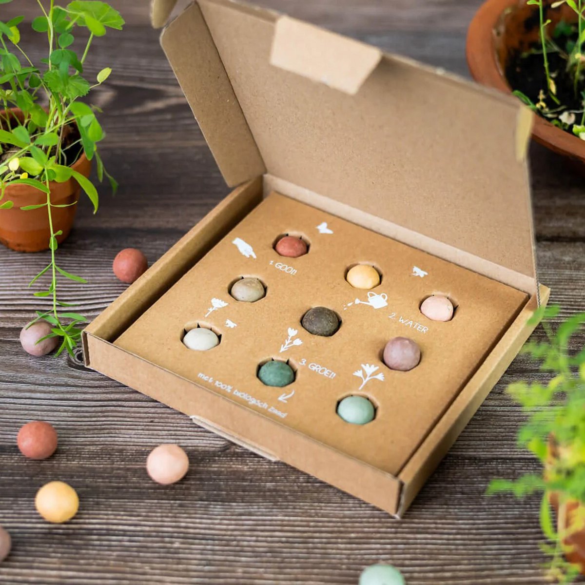 Giftbox Medium with 9 Flower Seeds - Merry Christmas & Happy New Year