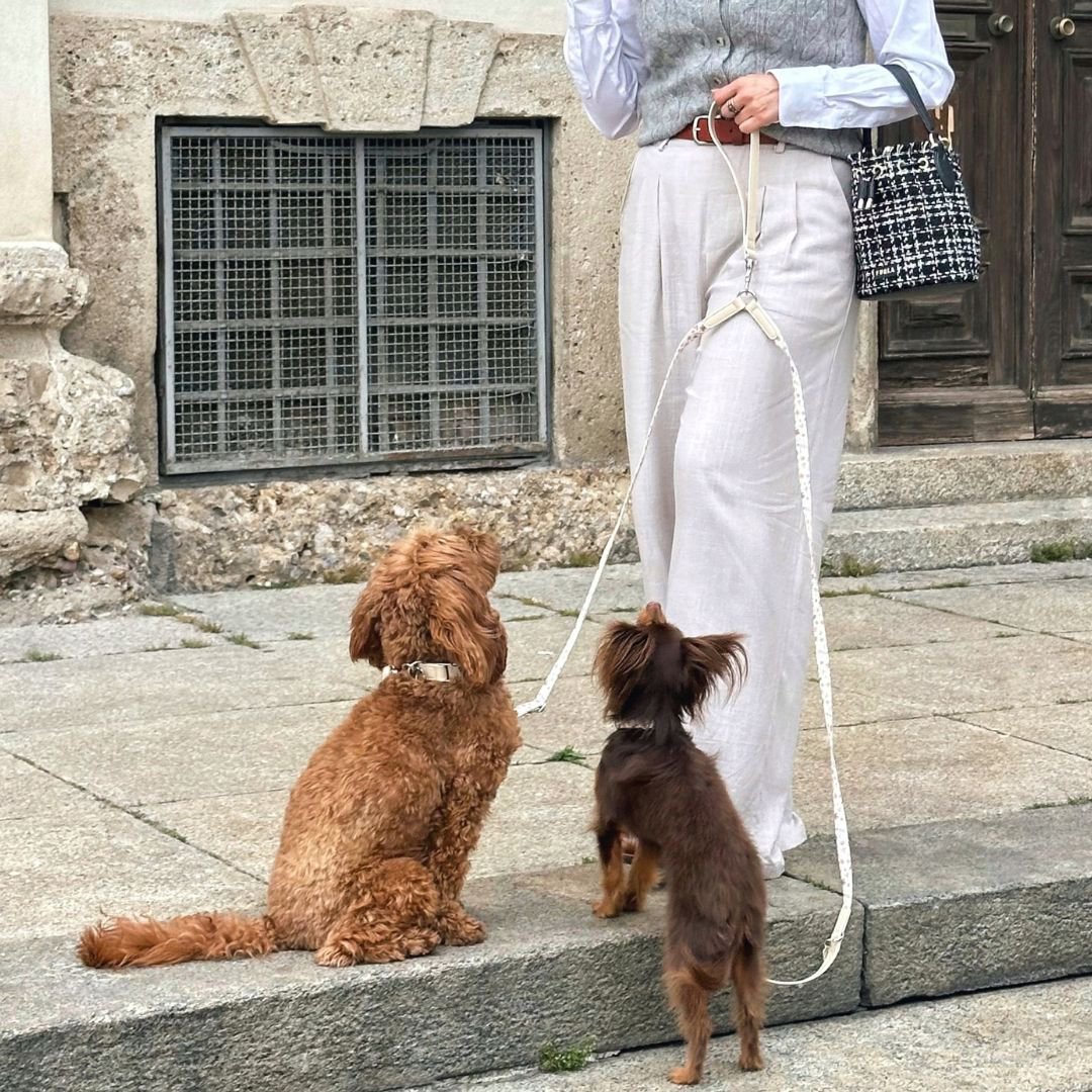 Multifunction Dog Leash - Midsummer