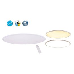 LED loftslampe "Sorrent" Oval 60x30cm