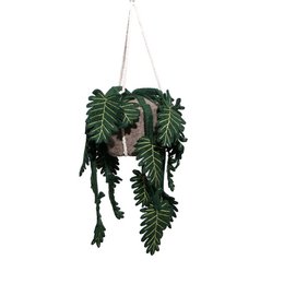 Planta Filón