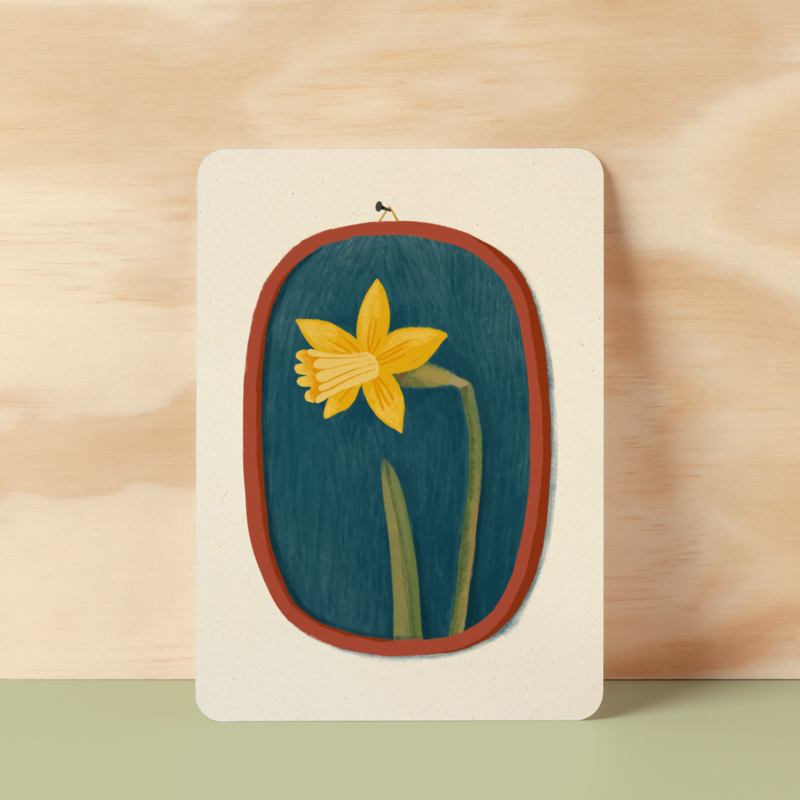 Postcard |  Portrait of a daffodil