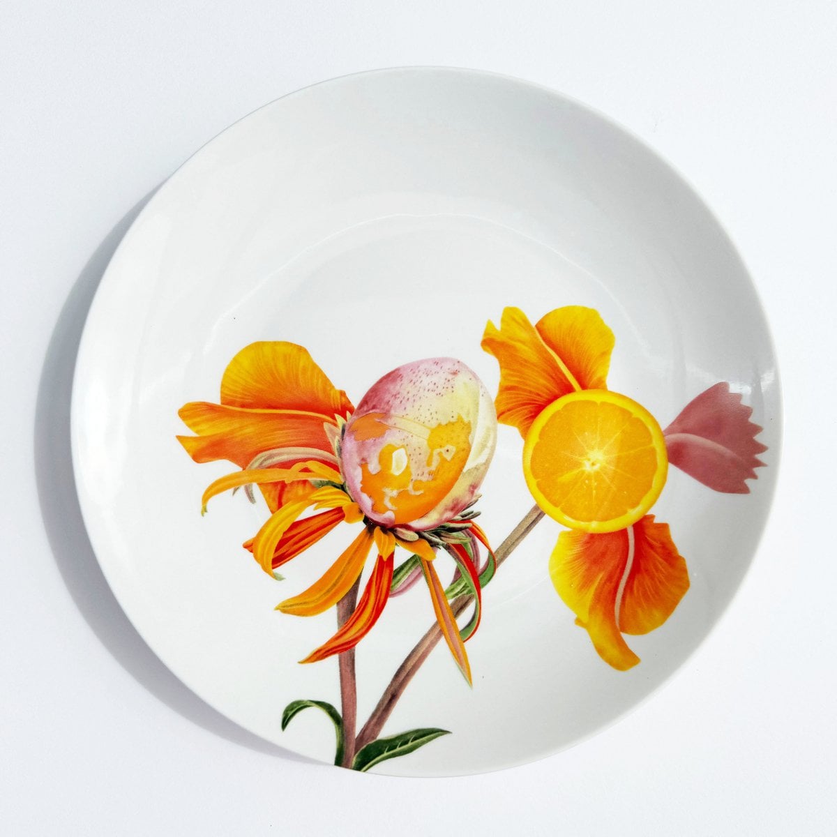 Botanical Wonders - Set of 4 breakfast plates