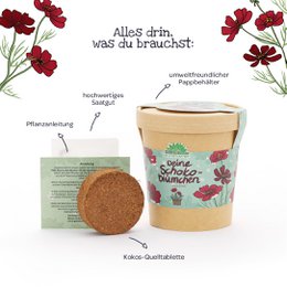 Schokoblumen aus dem Becher