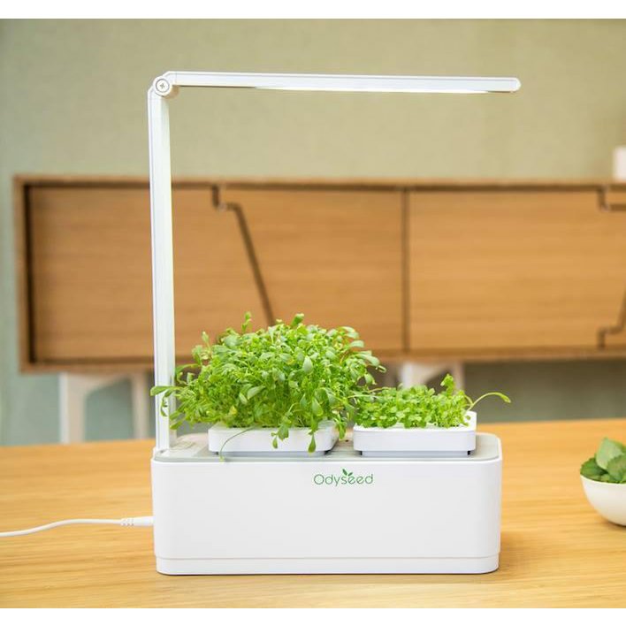 potager d'intérieur