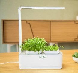 A compact, self-watering indoor vegetable garden with multiple tiers to grow fresh herbs and greens. The white planter features an LED grow light for optimal plant growth.
