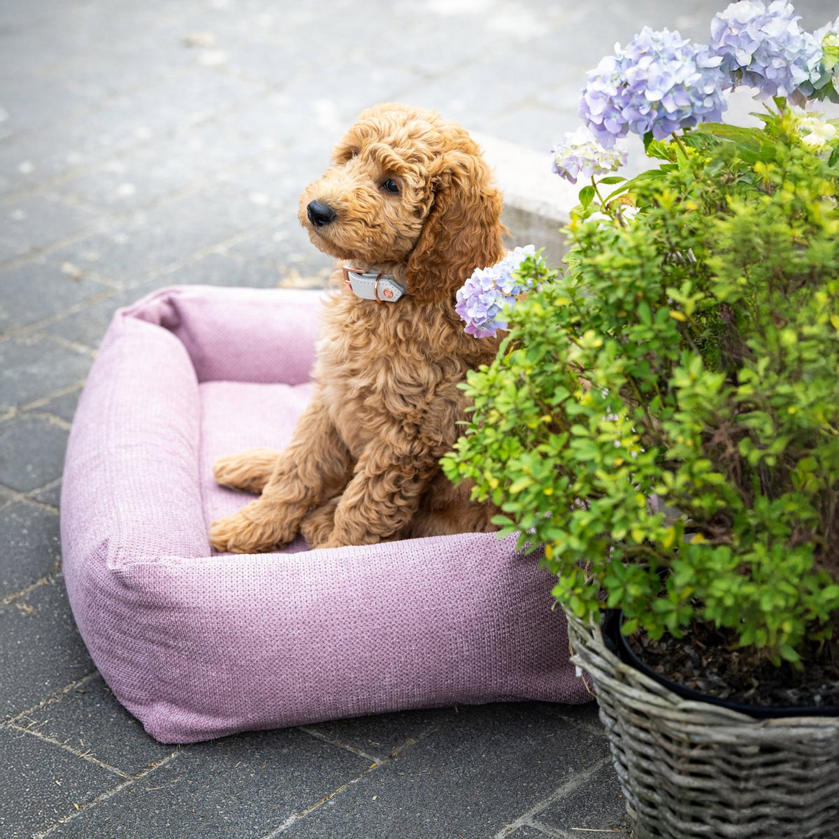 TUDOR ORTHO | Premium Orthopedic Dog Bed