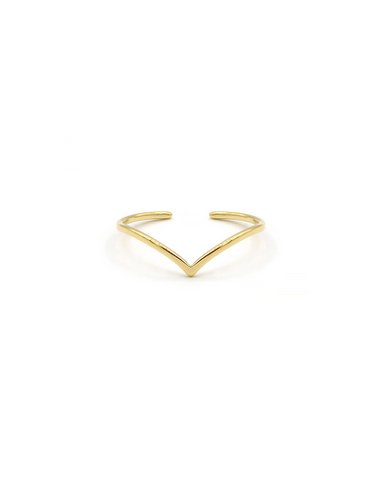 Ring "Wunsch"