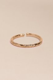 Anillo de ila