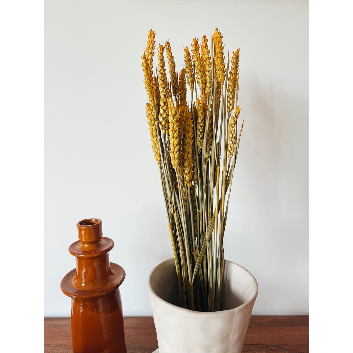 Weizengelbe Trockenblumen