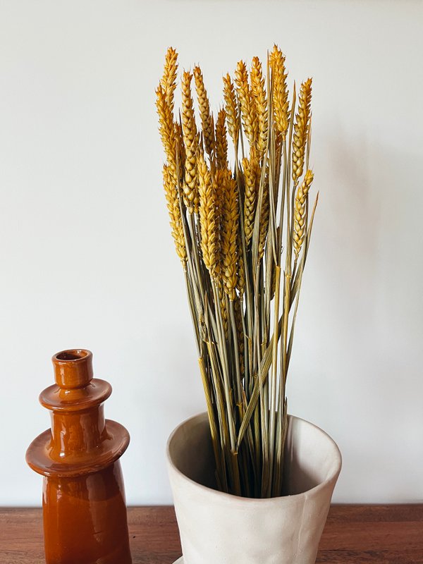 Weizengelbe Trockenblumen