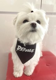 Black and white "rebel" reversible bandana