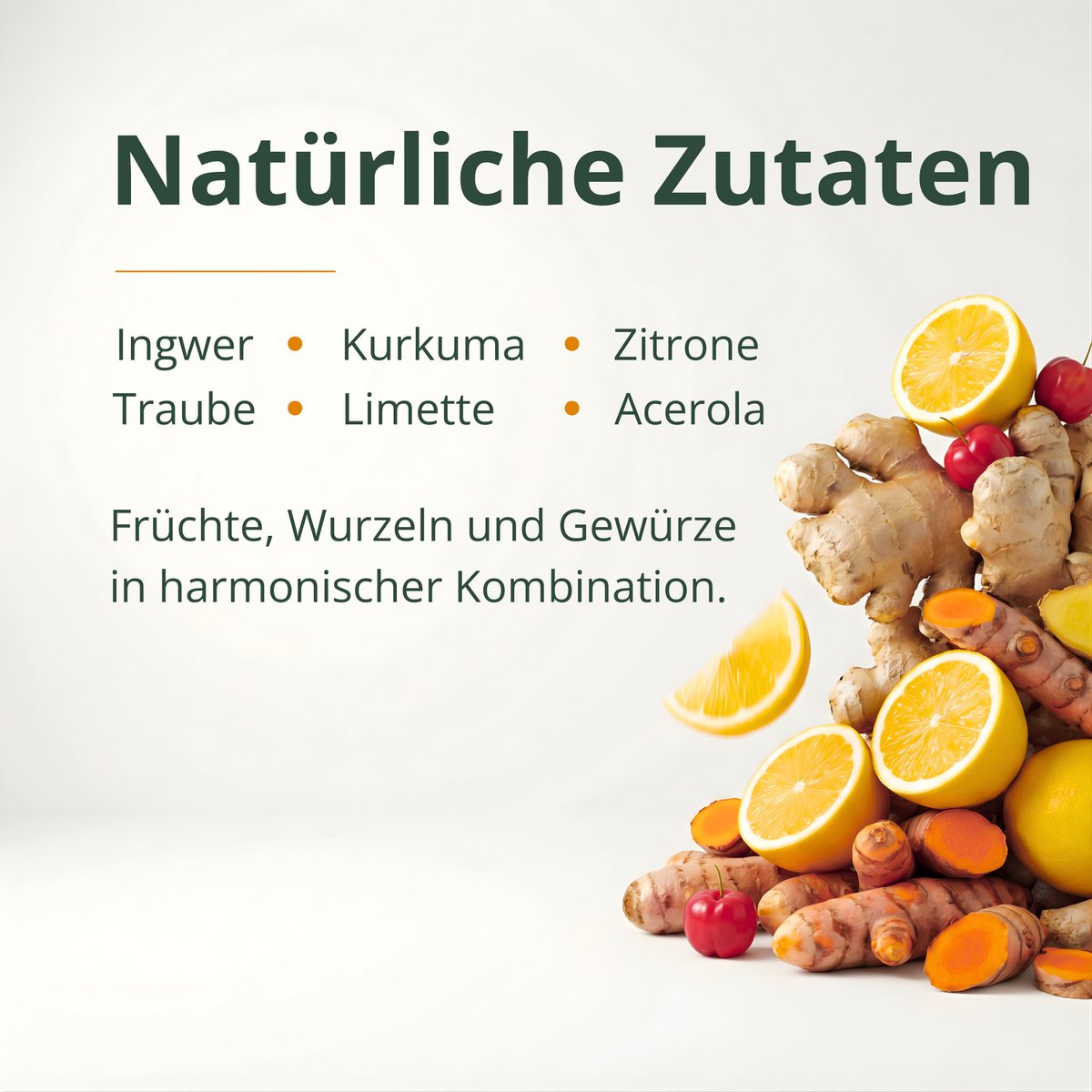 BIO Ingwer Konzentrat 500ml