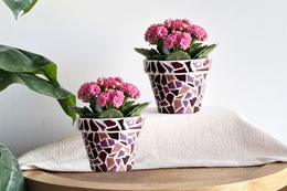 Oud-roze Mix