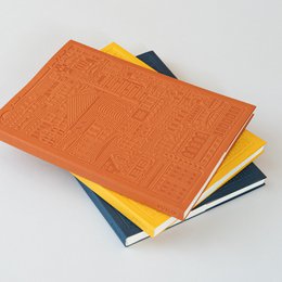 Il taccuino di Dublino