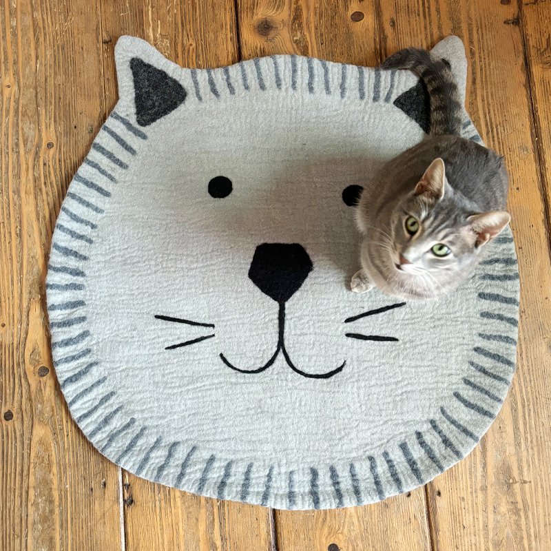 Carpet cat grey