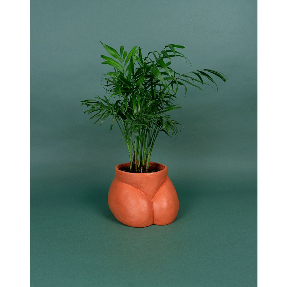 CACHE POT - DUŻE POŚLADKI