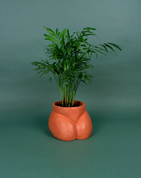 CACHE POT - GRAND FESSIER