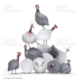 Funny Guinea Fowls - Greeting Card, 13 x 13 cm, Birds, Cards