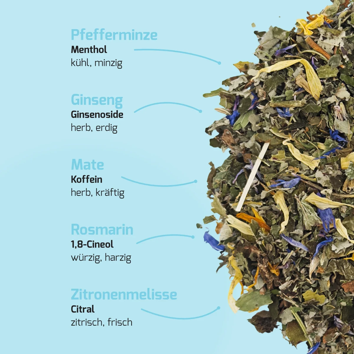 Fresh Mind - Menthe Ginseng | Thé biologique