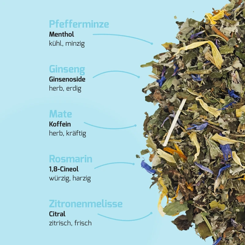 Fresh Mind - Menthe Ginseng | Thé biologique