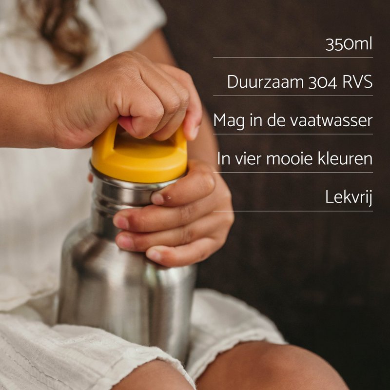 RVS Drinkfles Daily Basic 350ml