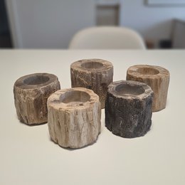 Petrified Wood Tealight Holder