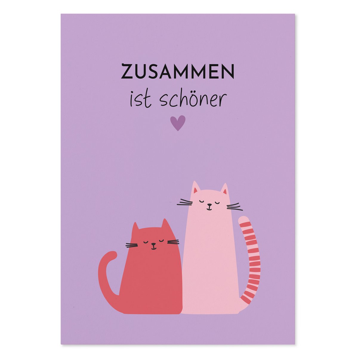 Ansichtkaart “Samen is mooier” vriendschapskaart kat