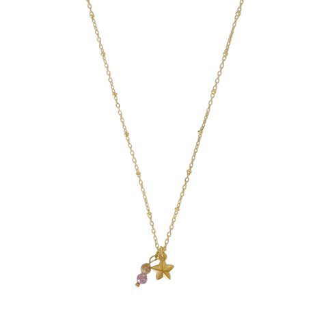 Ster Ketting Lepidoliet & Jaspis - Goud