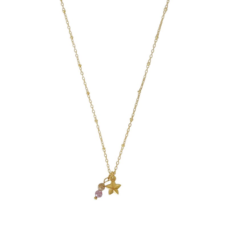 Ster Ketting Lepidoliet & Jaspis - Goud