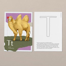 ABC cards expansion set with animals