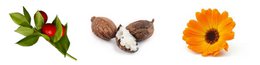 CAPILLARY STOP - riduce gli arrossamenti del viso, contro couperose, rosacea e capillari rotti