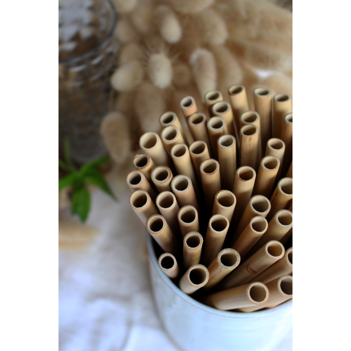 Bamboe rietjes