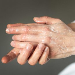 Explore Organic Duo Hand 500ml