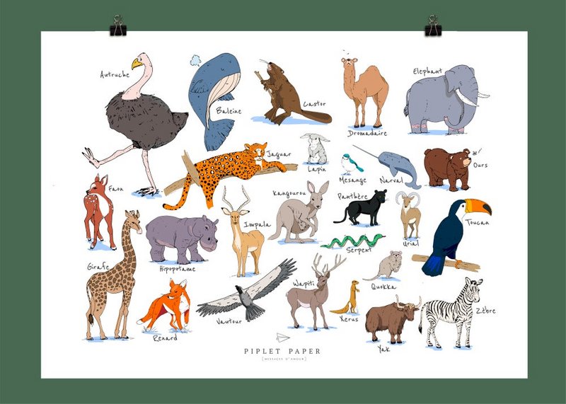Alfabeto animale