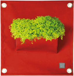 The Green Pockets® AMMA Rosso scuro