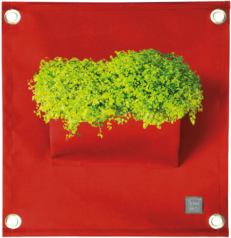 The Green Pockets® AMMA Rosso scuro